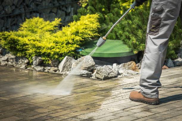 Best Oil Spill Cleanup  in Portland, MI